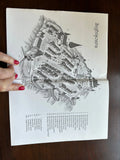 sighisoara map